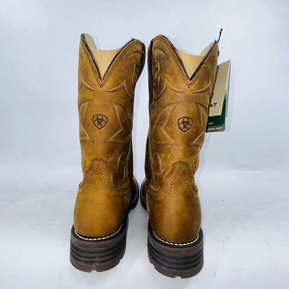 ARIAT 11\